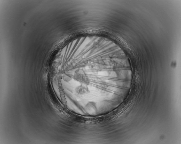 X0000099430542200805301431