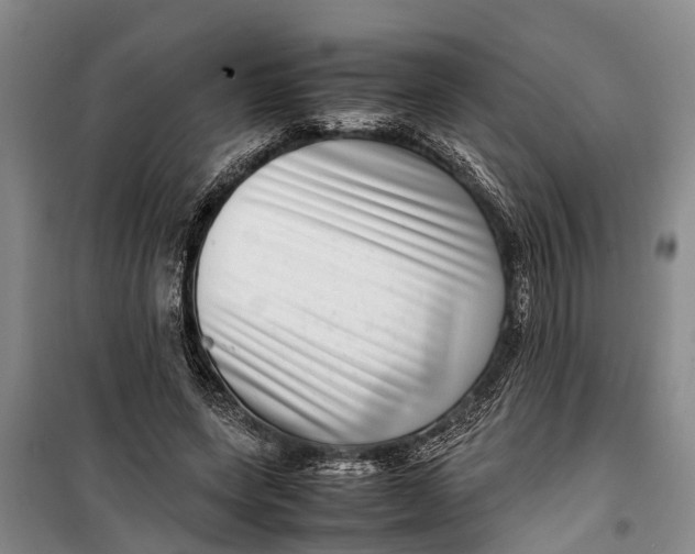 X0000099430543200805301431