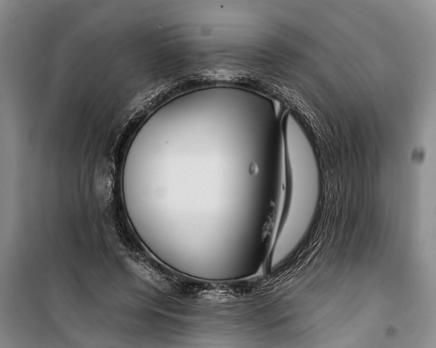 X0000099430544200805301431