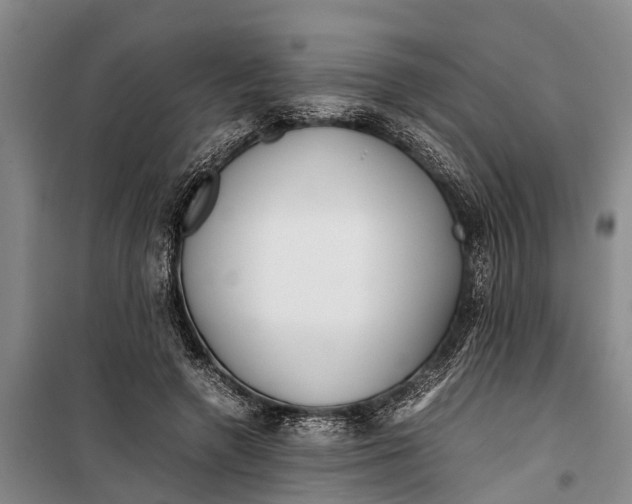 X0000099430546200805301431