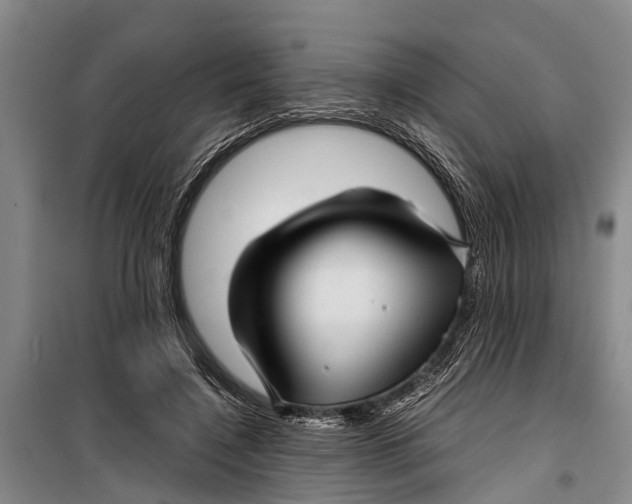 X0000099430548200805301431