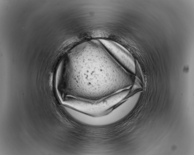 X0000099430550200805301431