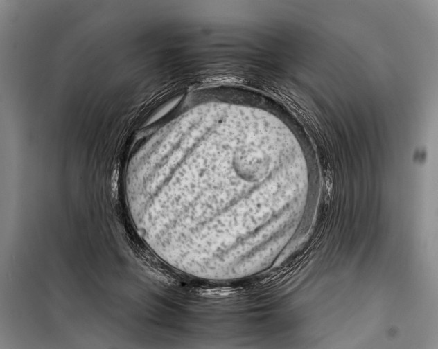 X0000099430551200805301431