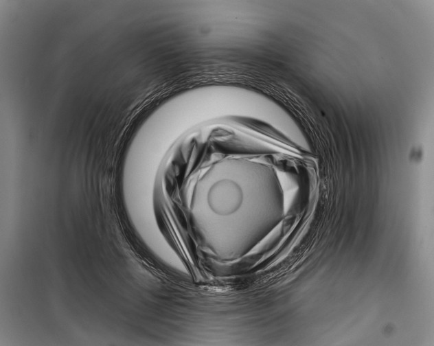 X0000099430552200805301431