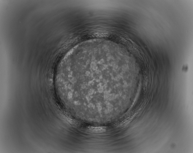 X0000099430553200805301431