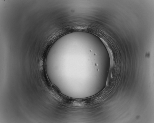 X0000099430556200805301431