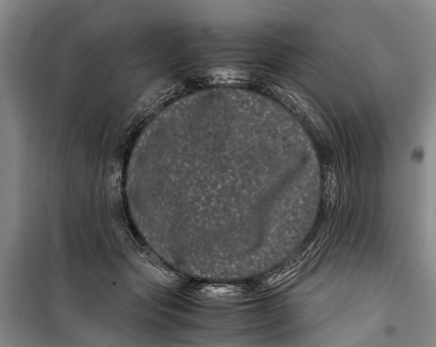 X0000099430557200805301431