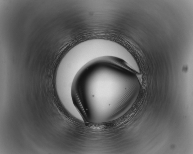 X0000099430560200805301431