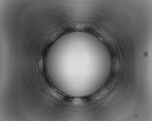 X0000099430562200805301431