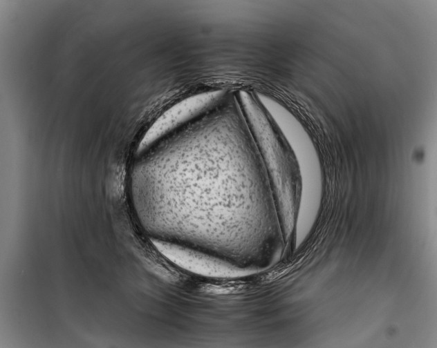 X0000099430563200805301431