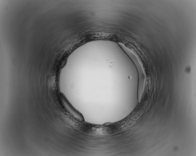 X0000099430564200805301431