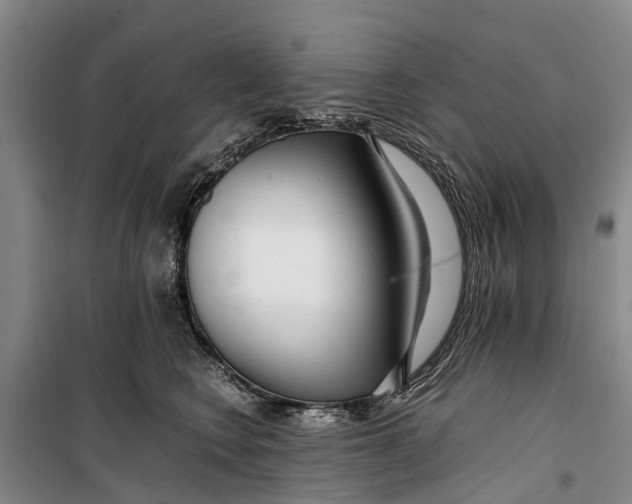 X0000099430566200805301431