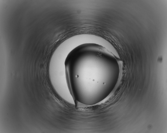 X0000099430568200805301431