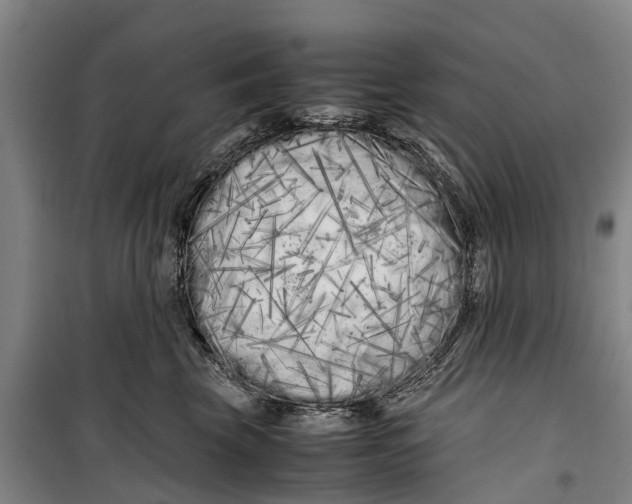 X0000099430569200805301431