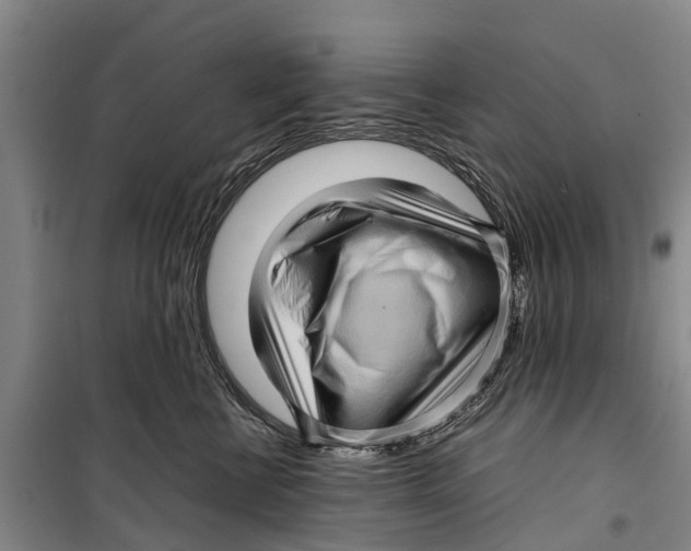 X0000099430570200805301431