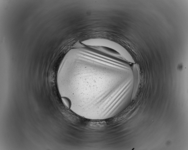 X0000099430571200805301431