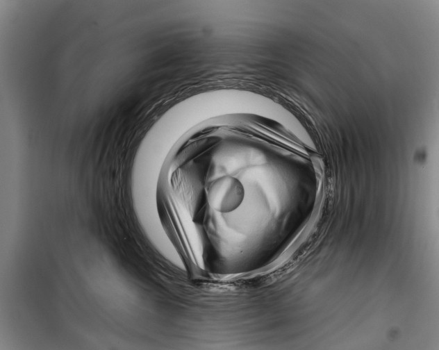 X0000099430572200805301431