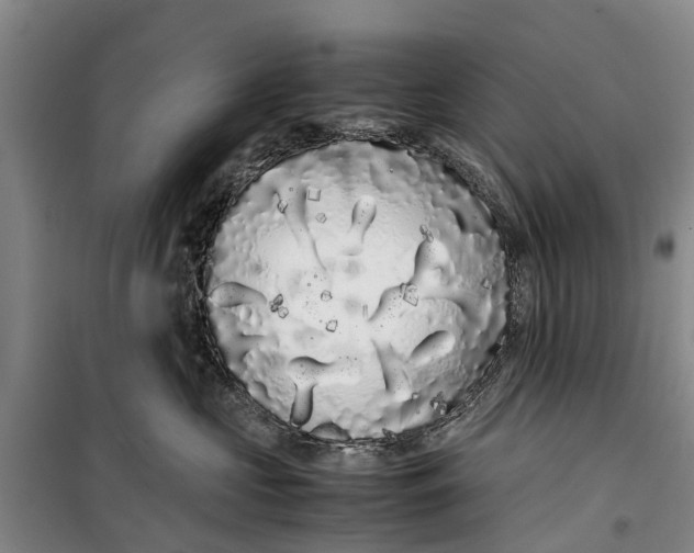 X0000099430573200805301431