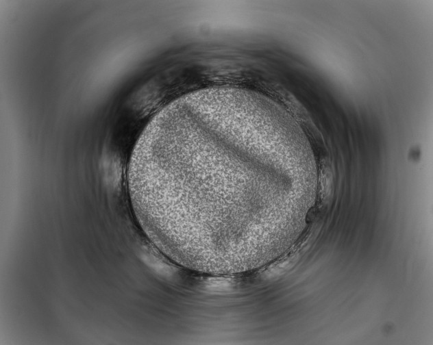 X0000099430574200805301431