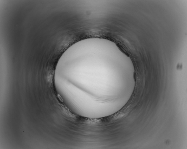 X0000099430576200805301431