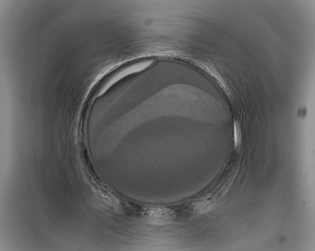 X0000099430579200805301431