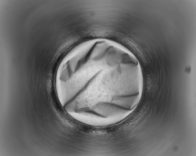 X0000099430586200805301431