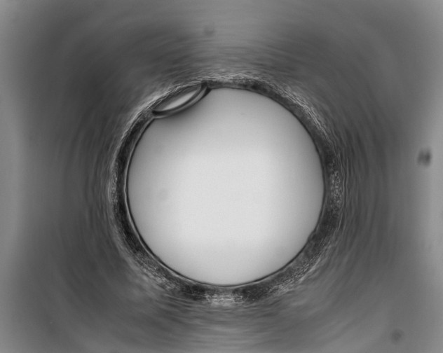 X0000099430587200805301431