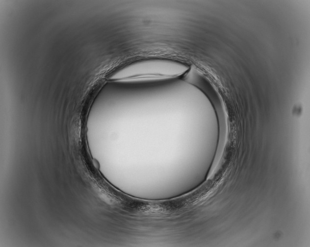 X0000099430589200805301430