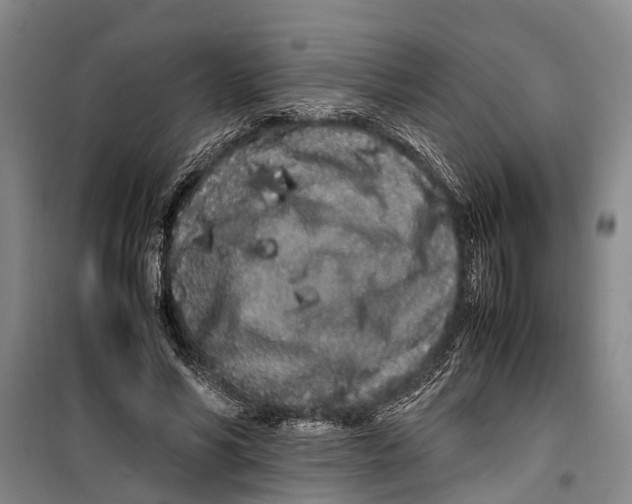 X0000099430590200805301430