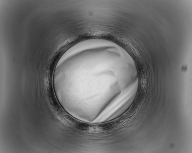 X0000099430591200805301430