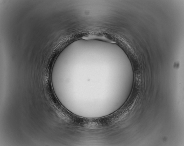 X0000099430593200805301430