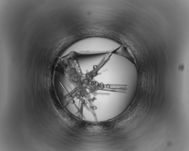 X0000099430594200805301430