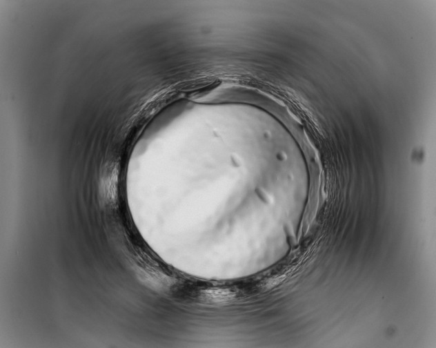 X0000099430596200805301430