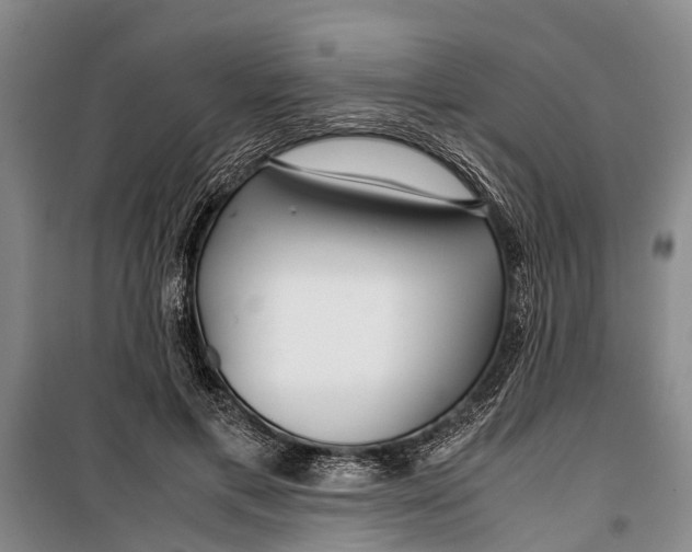 X0000099430597200805301430