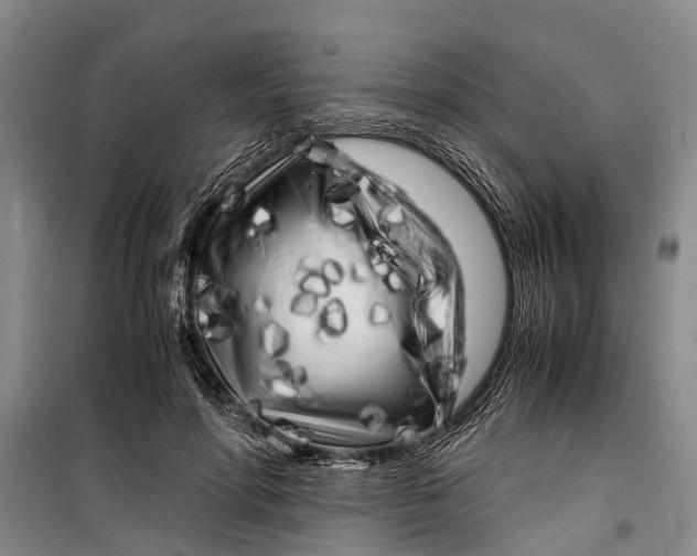 X0000099430598200805301430