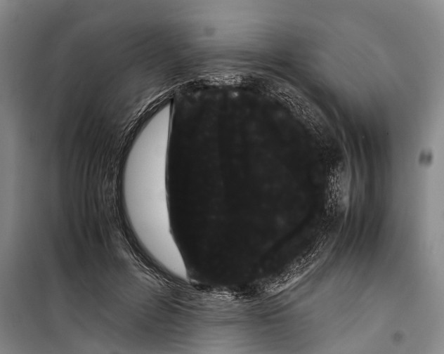 X0000099430600200805301430