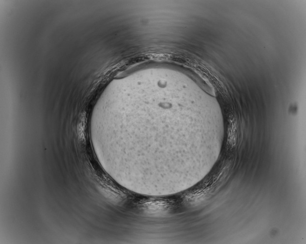 X0000099430604200805301430