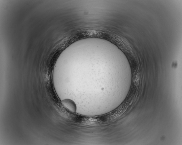 X0000099430607200805301430