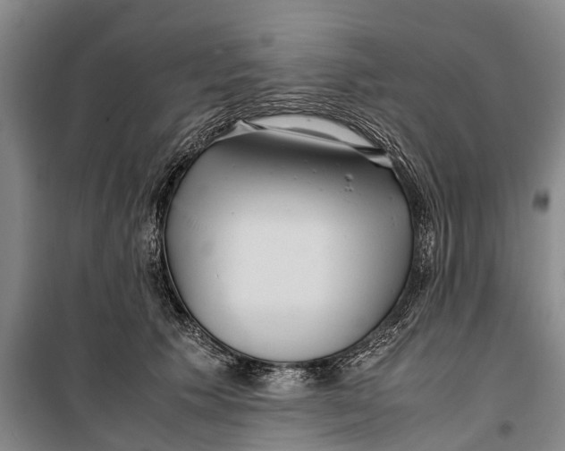 X0000099430609200805301430