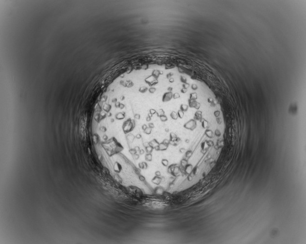 X0000099430610200805301430