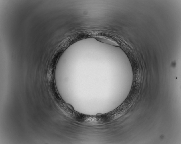 X0000099430611200805301430