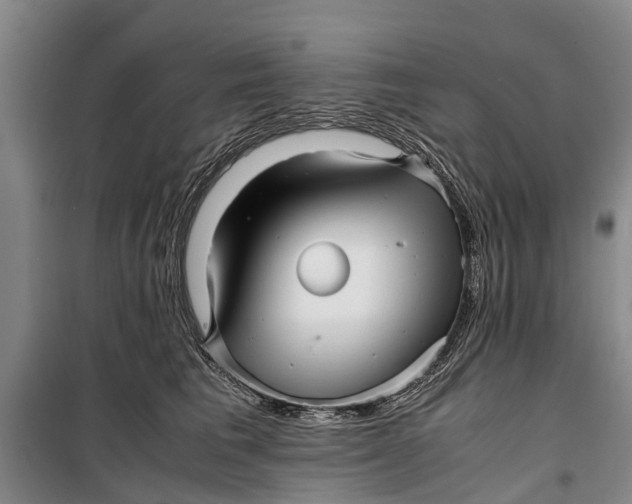 X0000099430613200805301430