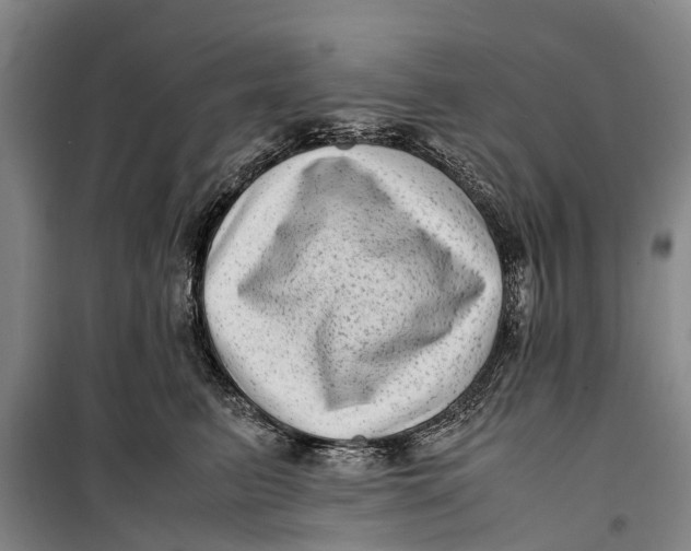 X0000099430615200805301430