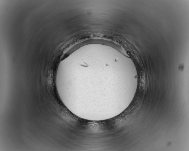 X0000099430616200805301430