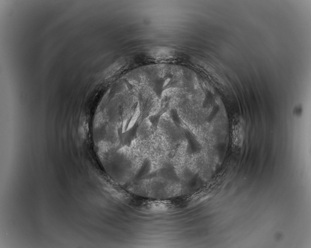 X0000099430618200805301430