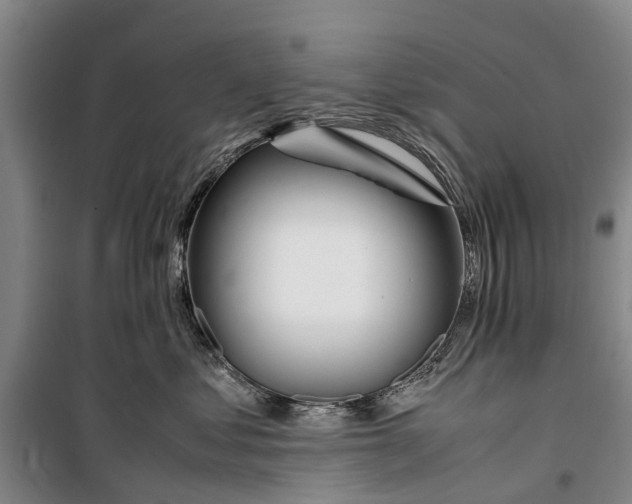 X0000099430621200805301430