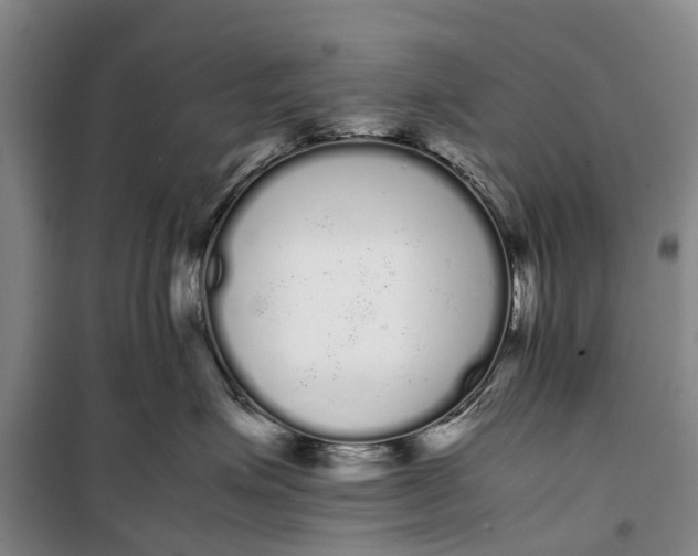 X0000099430623200805301430