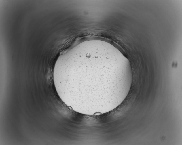 X0000099430624200805301430