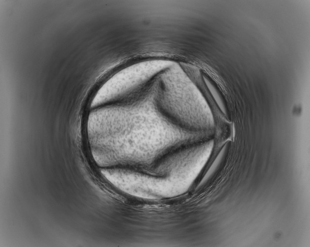 X0000099430627200805301429