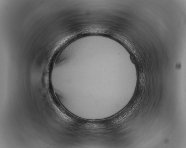 X0000099430629200805301429